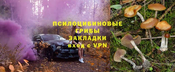 синтетический гашиш Алексин