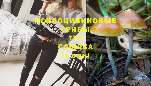 синтетический гашиш Алексин