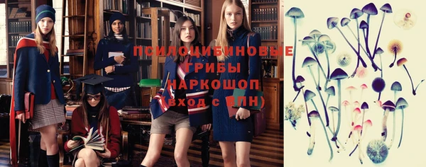 гидра Алзамай