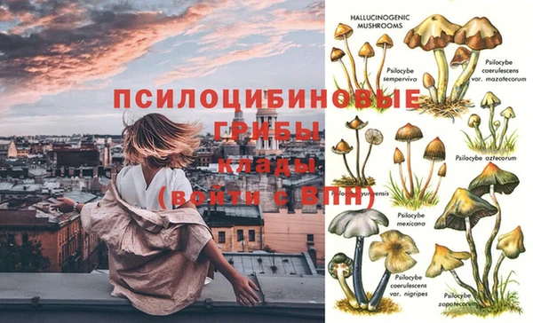 героин Абаза