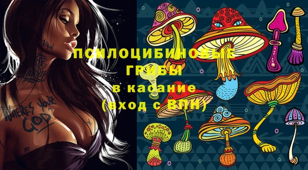 метадон Алексеевка