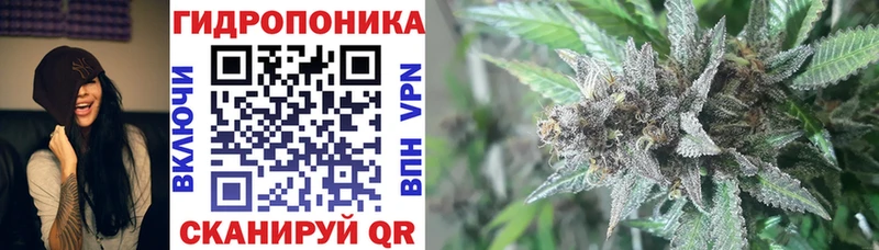 мега как зайти  Грязи  Шишки марихуана Amnesia 
